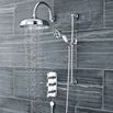 Ultra Arched Wall Mounted Shower Arm - 310mm