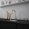 Vellamo Inspire Pull Out Mono Kitchen Mixer Tap - Brushed Brass