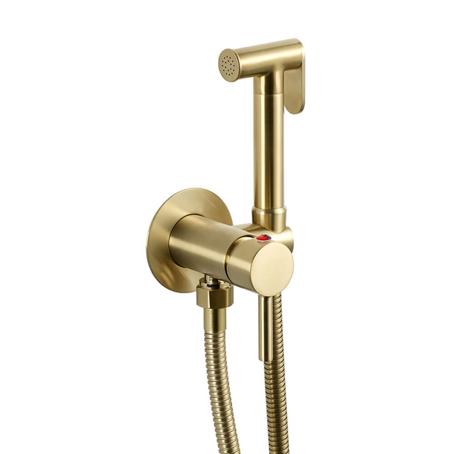 VOS Douche Handset with Hose & Wall Bracket - Brushed Brass