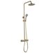 VOS Exposed Dual Outlet Rigid Riser Thermostatic Shower Set - Brushed Brass