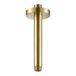 VOS Fixed Ceiling Shower Arm - Brushed Brass