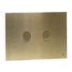 VOS Stainless Steel Pneumatic Flush Plate - Brushed Brass